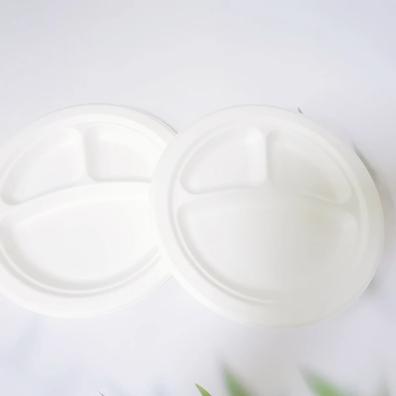 6 inches Disposable dinner plate biodegradable disposable plates sets dinnerware wholesaler