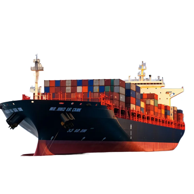 Xiamen China International Freight Forwarder to Montreal Canada Ocean Container Service FCL Shipping Agent