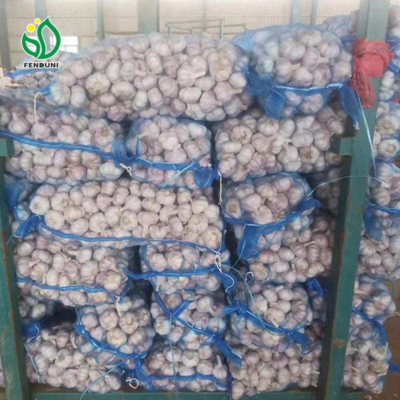 Loosely mesh bag 10kg/20kg 5.5cm-6.0cm ajo alho ail fresh garlic China garlic wholesaler