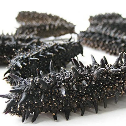 
High Quality sell sea cucumber a local specialty of Japan 