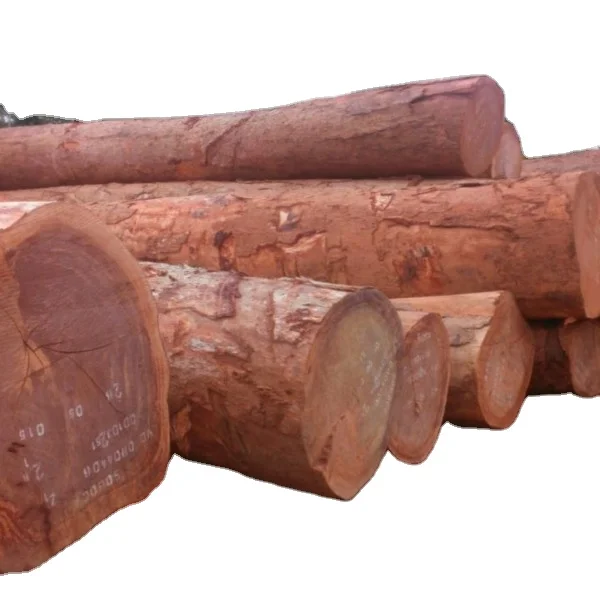 Оптовая продажа, деревянные бревна из тика под заказ, сосна и красная твердая древесина, лидер продаж, деревянные бревна из эвкалипта по низкой цене для мирового рынка