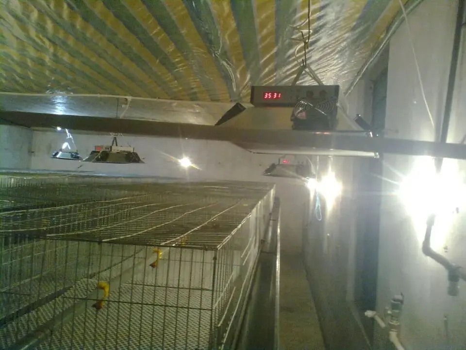 electric poultry brooder with warming light HJ-YCD10