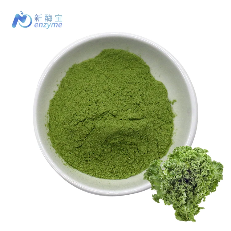 Novenzyme Supply Natural Vegetable Powder Organic Kale Extract Powder