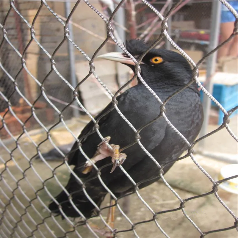 Stainless steel wire rope mesh for Large Birds Aviary Mesh