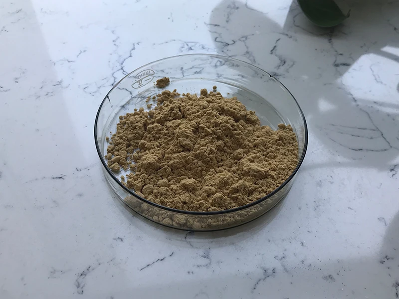 Best Price Buy Bacillus Subtilis Powder
