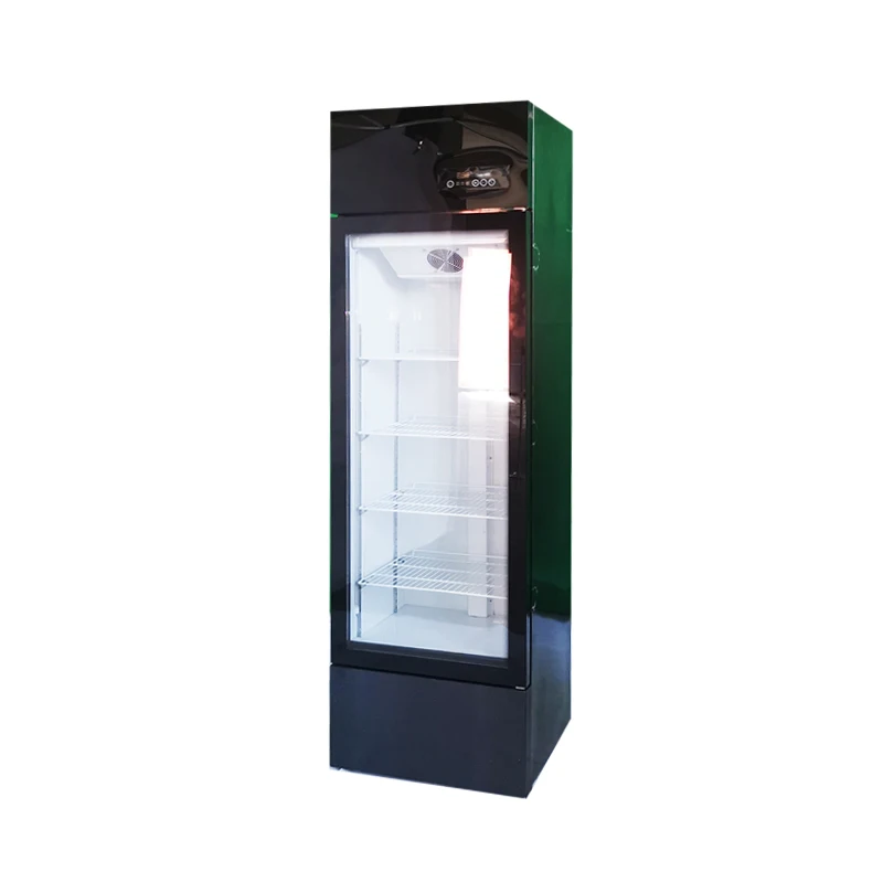 Commercial Single-Temperature Pepsi Drink Display Refrigerator 2-Door Glass Door Cooler for Supermarket Meat Store Applications