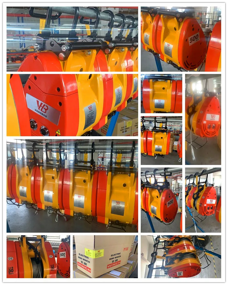 Fast Speed Single Phase 110V 220V 160kg 180kg 230kg 250kg Electric Wire Rope Small Mini Winch With Professional Design