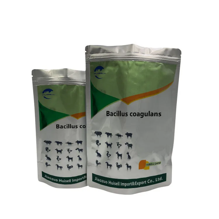 Заводская поставка, порошок Bacillus Coagulans высокого качества