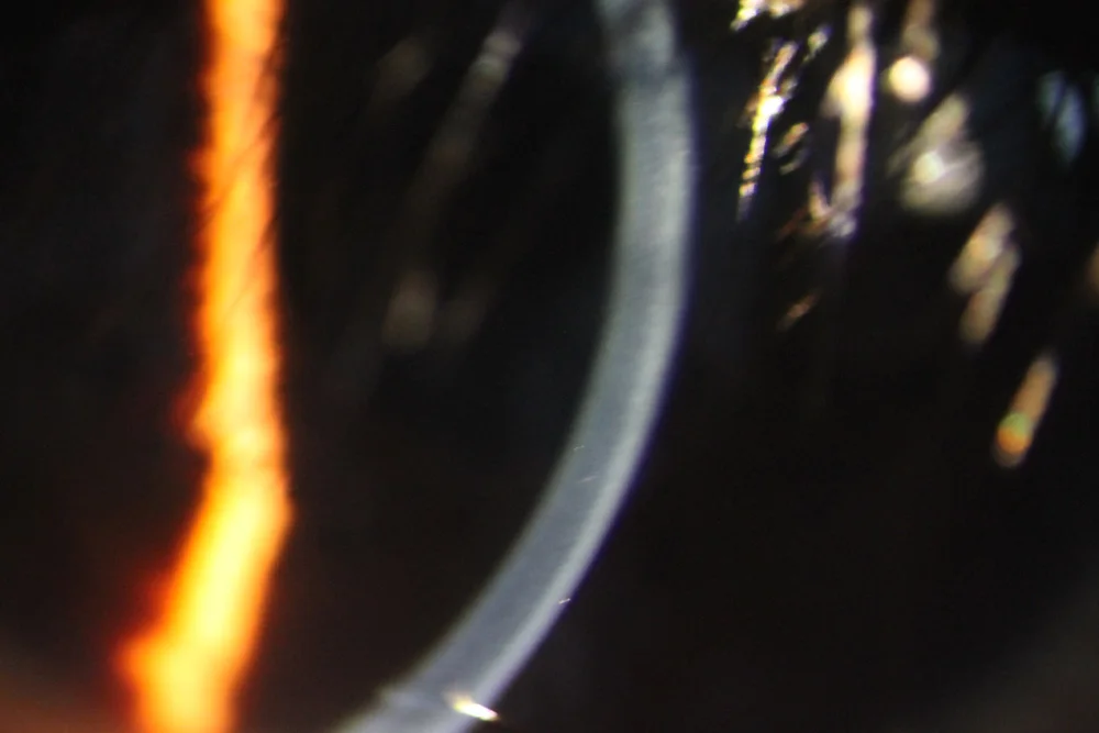 Veterinary Portable Slit Lamp Ophthalmic Examination Equipment Professional KJ5S3 Handheld Slit Lamp