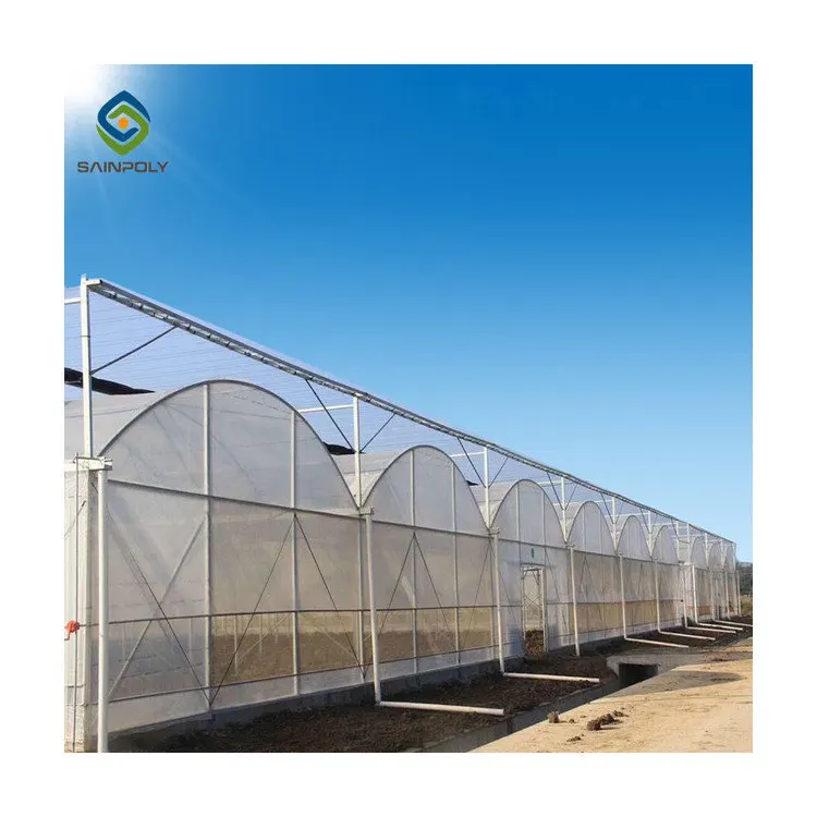 Commercial Plastic Film Tunnel Greenhouse Galvanized Agriculture Transparent Greenhouse Tunnel Garden Greenhouse