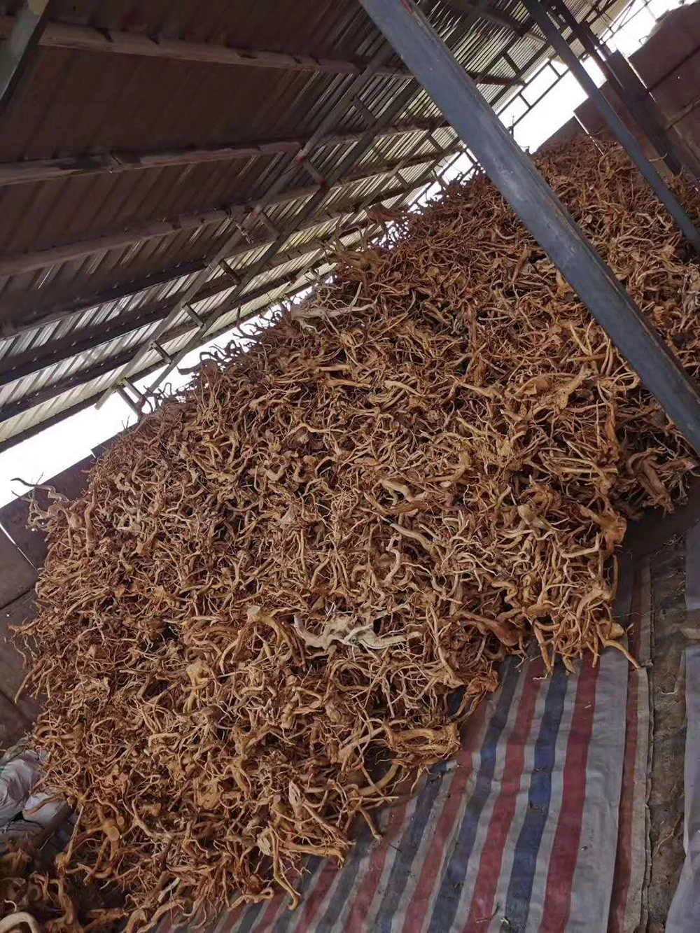 Wholesale aquarium natural aquarium bleach wood