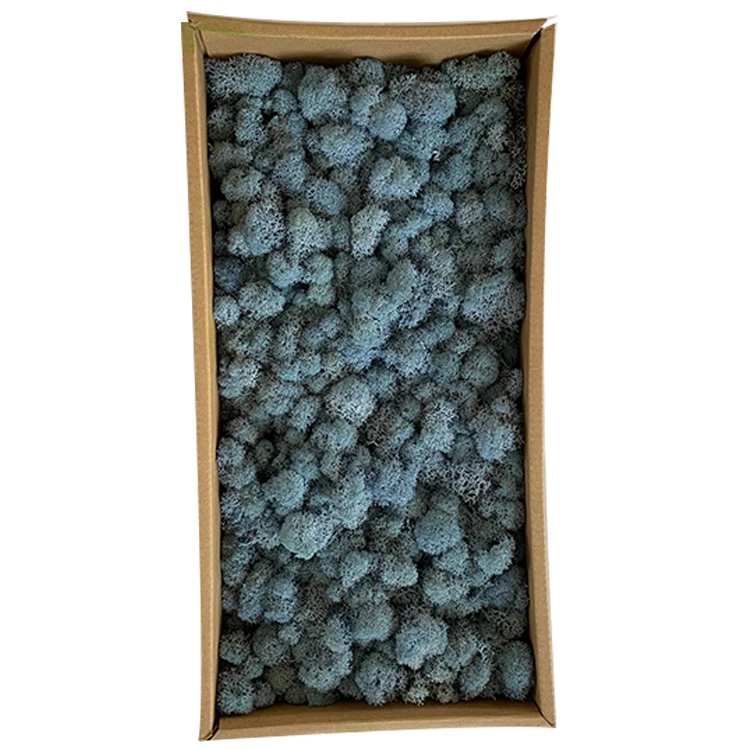 Multi Colour Home Garden Wall Decorative Materials Lichen Soft Natural Preserved Sphagnum Moss For Sale
