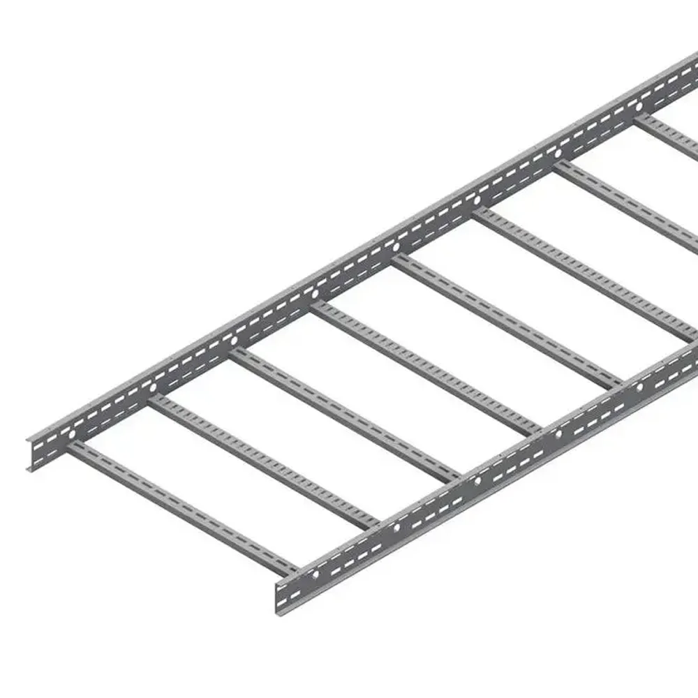 Professional Design Team Exquisite Workmanship Telecom Stainless Steel Cable Ladder Tray
