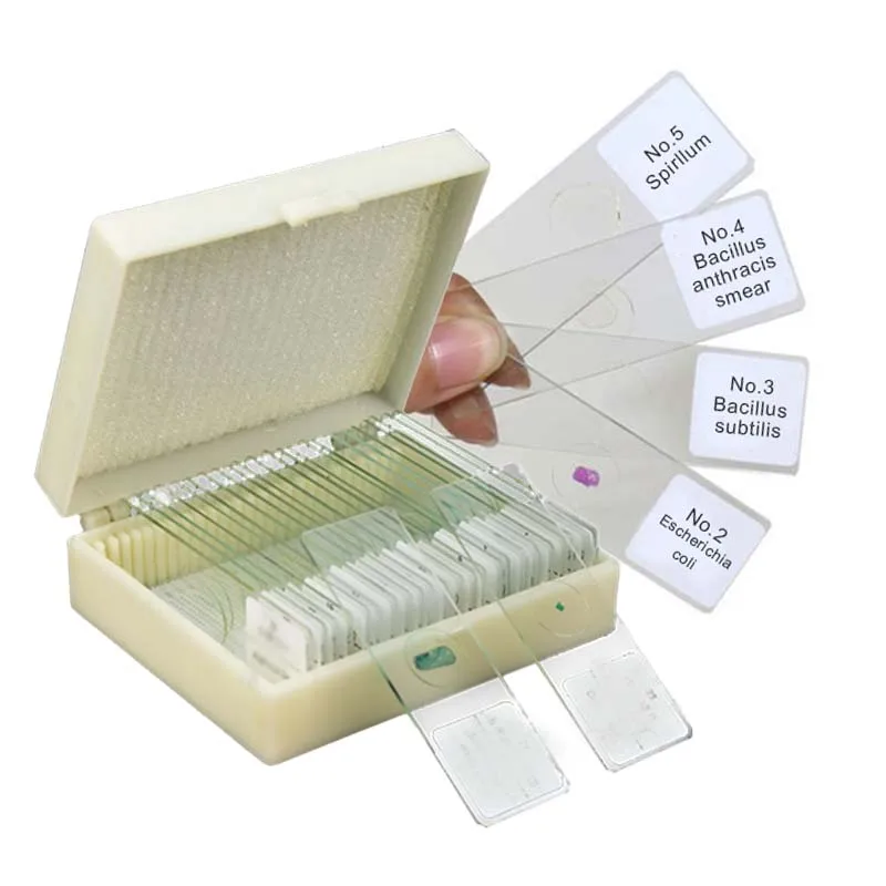 medical science 100pcs  Human  Histology Prepared Slides Set Specimens Microscope Prepared Slides