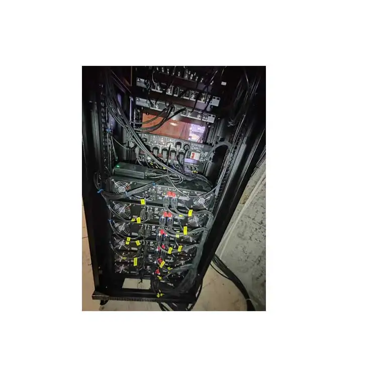 LS-300 профессиональный 2-канальный 300 Вт * 2 класс D усилитель мощности 220 В чистая звуковая система заднего этапа