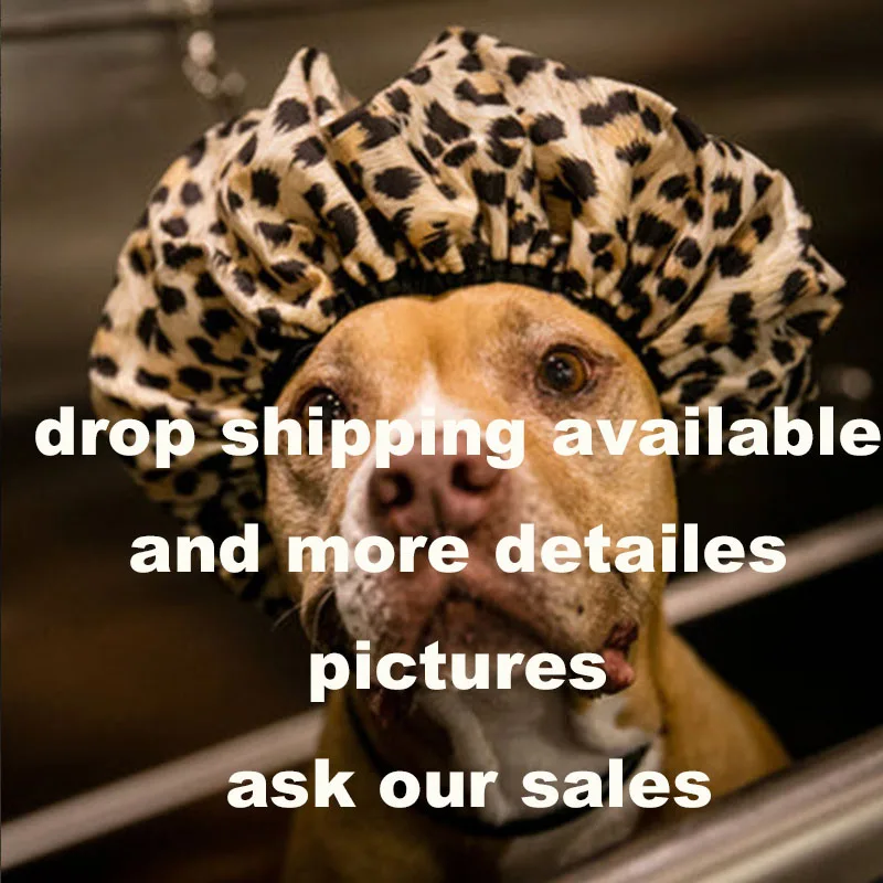 Fashion Luxury Brand Designer Swag Air Pet Shoes Adjustable French Bulldog Pitbull Chicago Sports Dog Sneakers