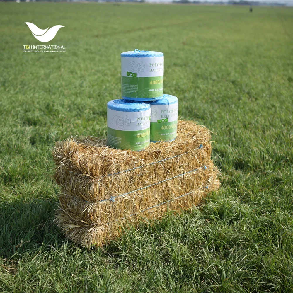 
Baler Twine Polypropylene Agricultural Color PP Square Baler Twine Rope 