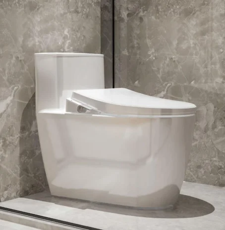 New bidet seat E106 smart toilet seat can be adjusted temperature and water healthy and comfortable