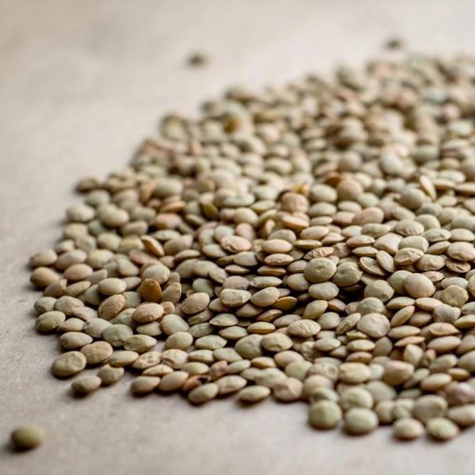 Поставка зеленой чечечевицы высшего качества