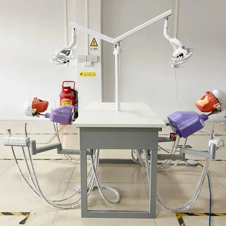 Four handed operation dental care model clinical teaching dental simulator