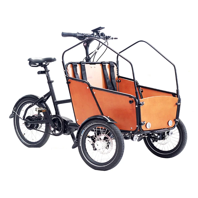 36v 13Ah lithium-ion removable battery family cargo bike front two wheel bicicleta cargueira