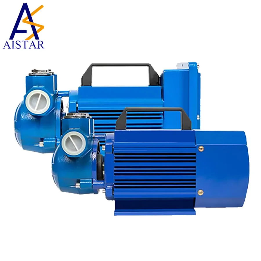 12V / 24V Fuel Transfer Pump/Explosion-proof Pump for Transferring Gasoline / Diesel