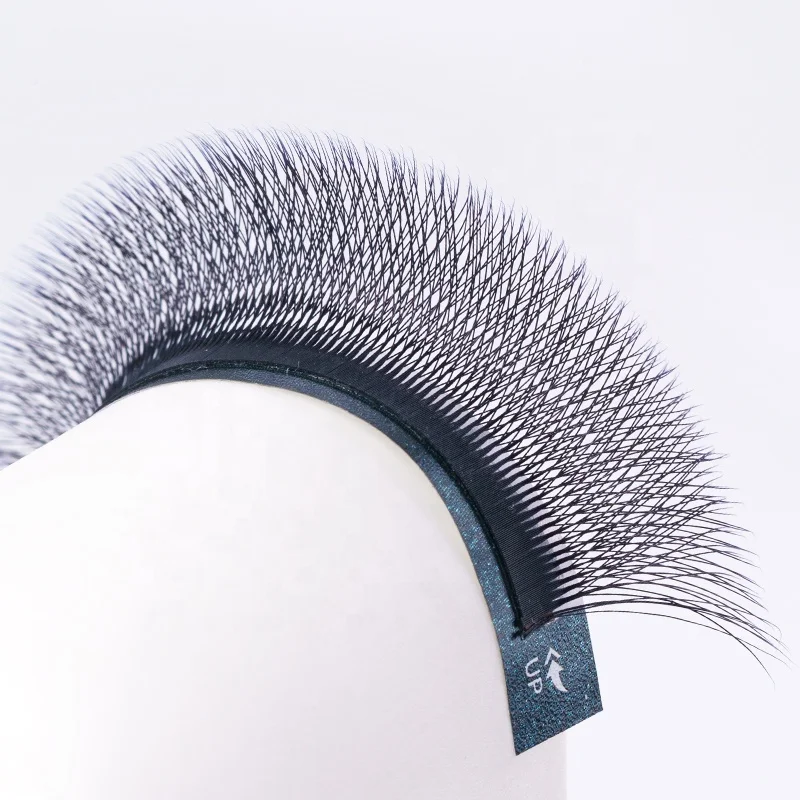 Dammansen 5D Lash Top Factory 5 Fans Eyelash Extensions Korea PBT Eyelash Extensions