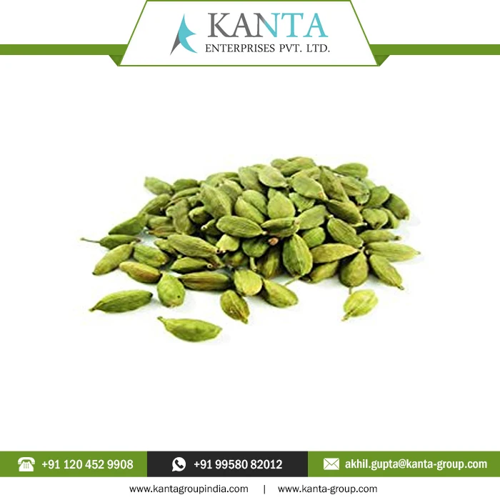 Pure 100% Natural Cardamom Essential Oil powerful flavoring and aromatic agent Available at low Price