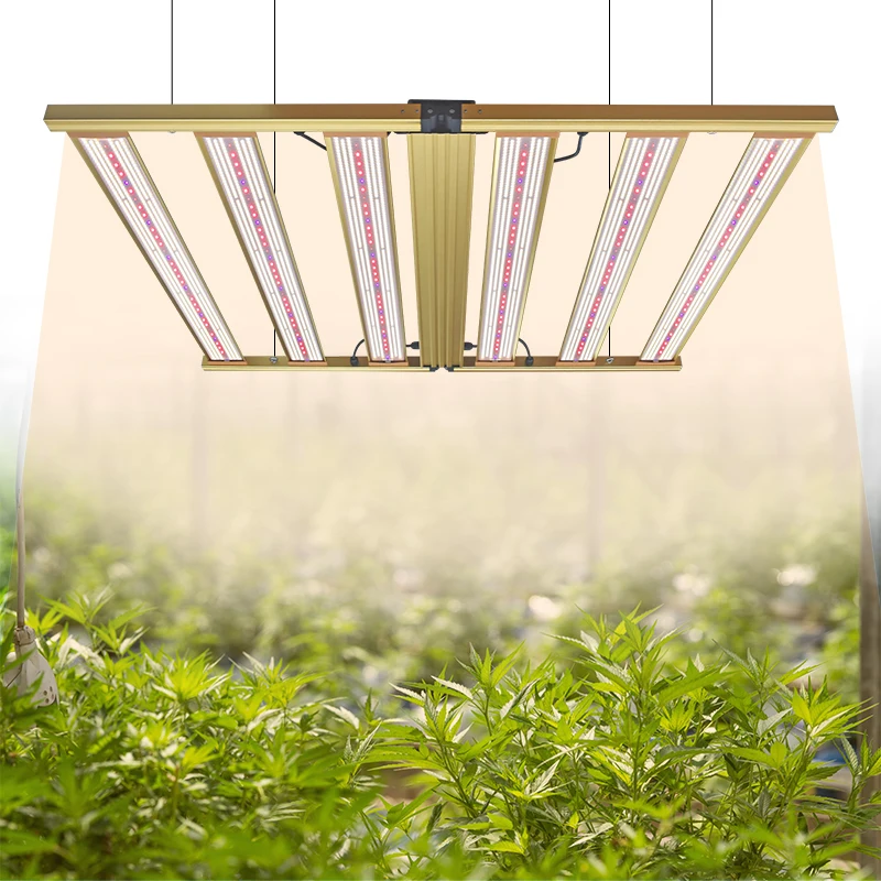 Shinny Golden Grow Light with Full Spectrum in 2700K 3000K 5000K 6500K LED lighting to accelerate Kiwi Lettuce flowers plants