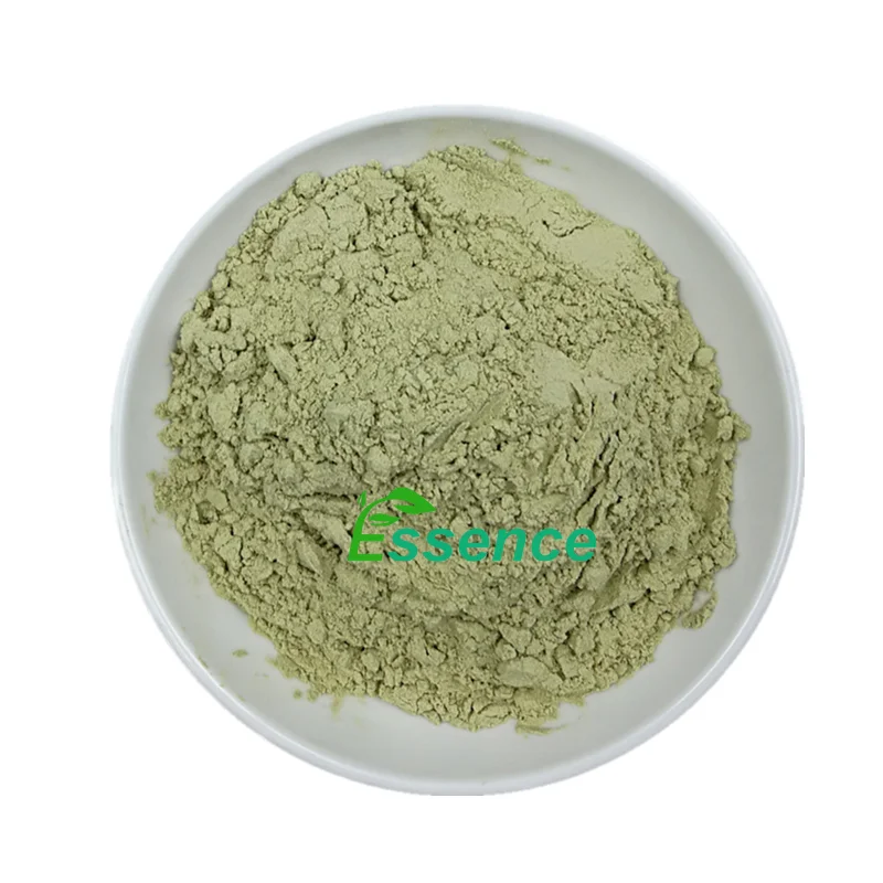 High Quality Celery powder/Smallage leaf powder/Apium graveolens powder nutritional supplements