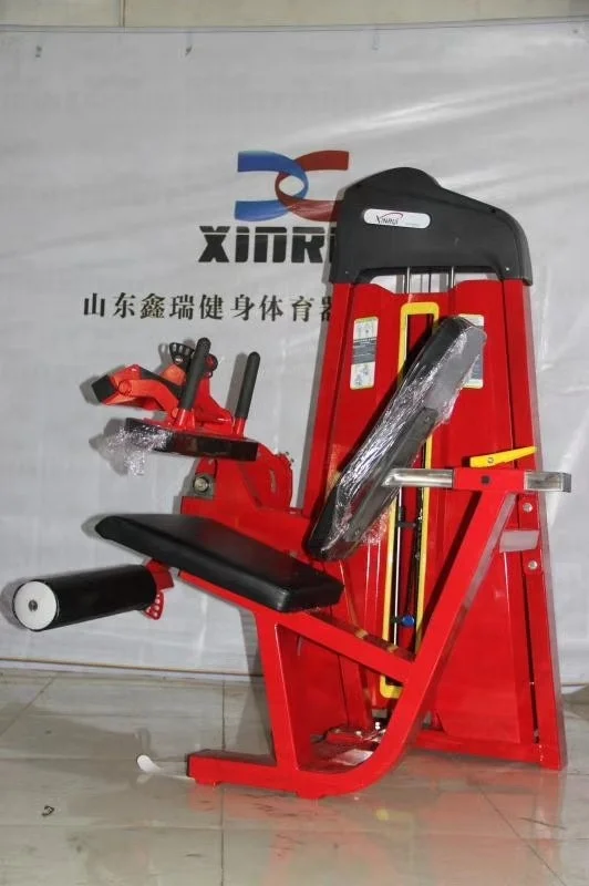 Xinrui Fitness Custom Logo Steel Tube Seated Leg Curl Gym Fitness Machine For Strength Training And Exercise