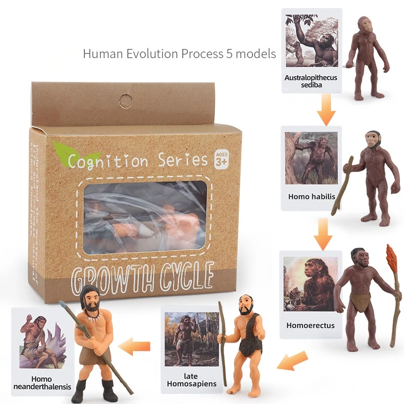 Montessori Life Cycle Learning & Education Toys Plastic Insect Ladybug Monarch Butterfly and Tadpole-to-Frog Kit for Kids