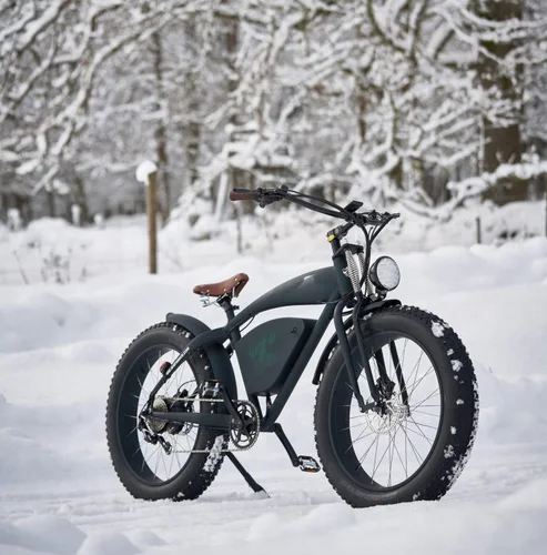 LOHAS Best Quality electric bike 26 inch fat tyre snow 48V battery lithium 500 vintage electric bike bicycle for sale