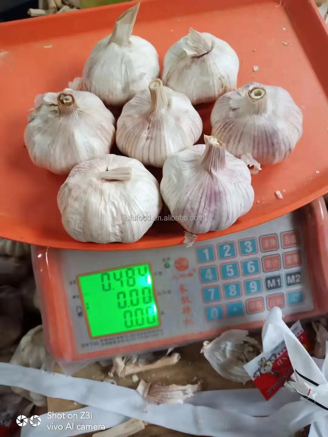 Garlic Planter / Farmer in China with Good Price