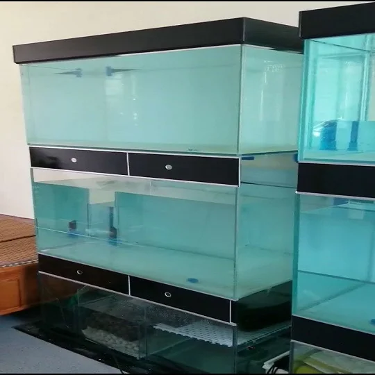Qingdao Factory Manufacture 12mm Clear  Glass Aquarium for Breeding fish