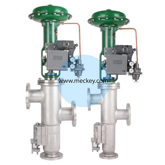 Meckey turnkey Lysine processing equipment with strain