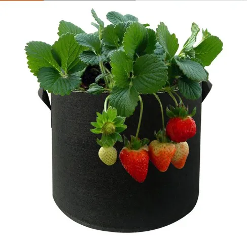 1 / 2 / 3 / 5 / 10 / 20 / 30 / 40 / 50 / 100 / 200/300 gallon All Size Non woven Plant Fabric Pots Grow Bags with Handles