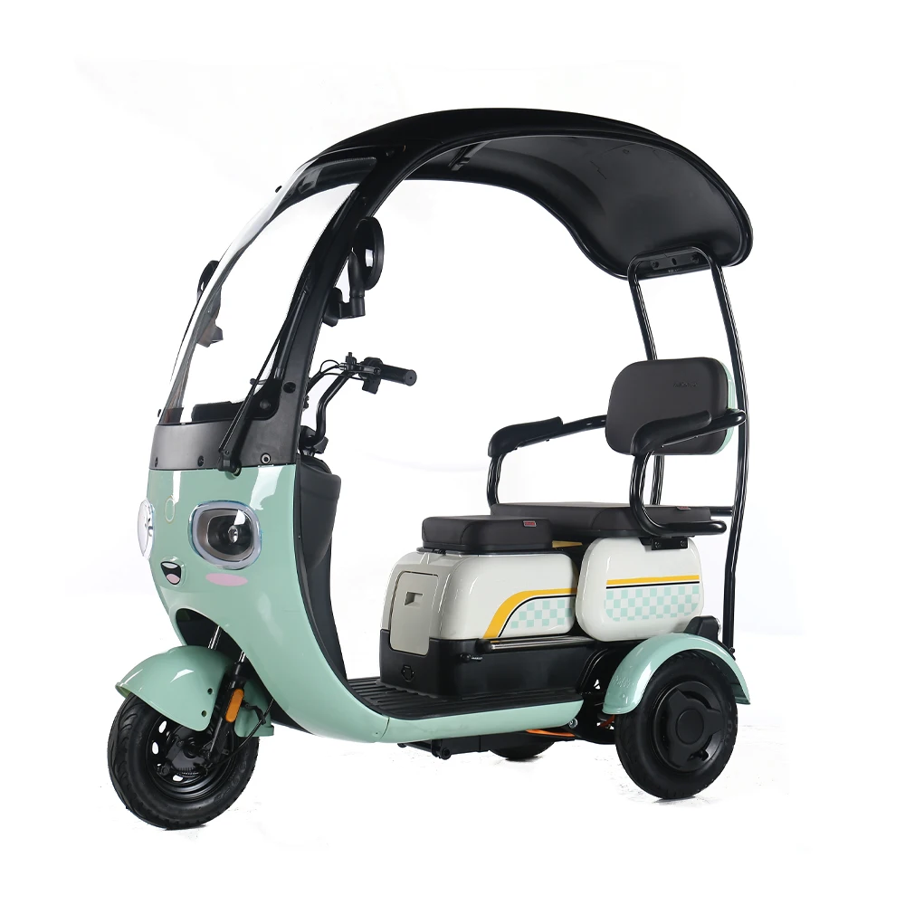 2024 New Electric Pedicab Tricycle Electric Bike 500W Long Range 3 Wheel Electric Scooter For Sale