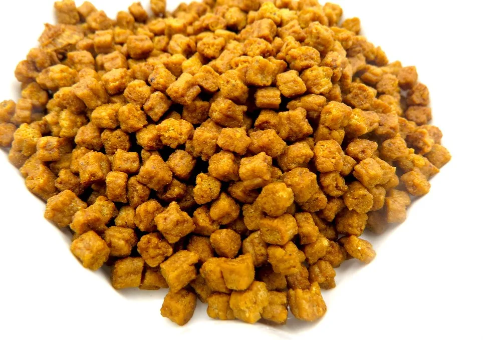 Automatic 3 Layer Extruded Feed Machine Cold Press Pet Food Extruder Fish Feed Extruding Machine