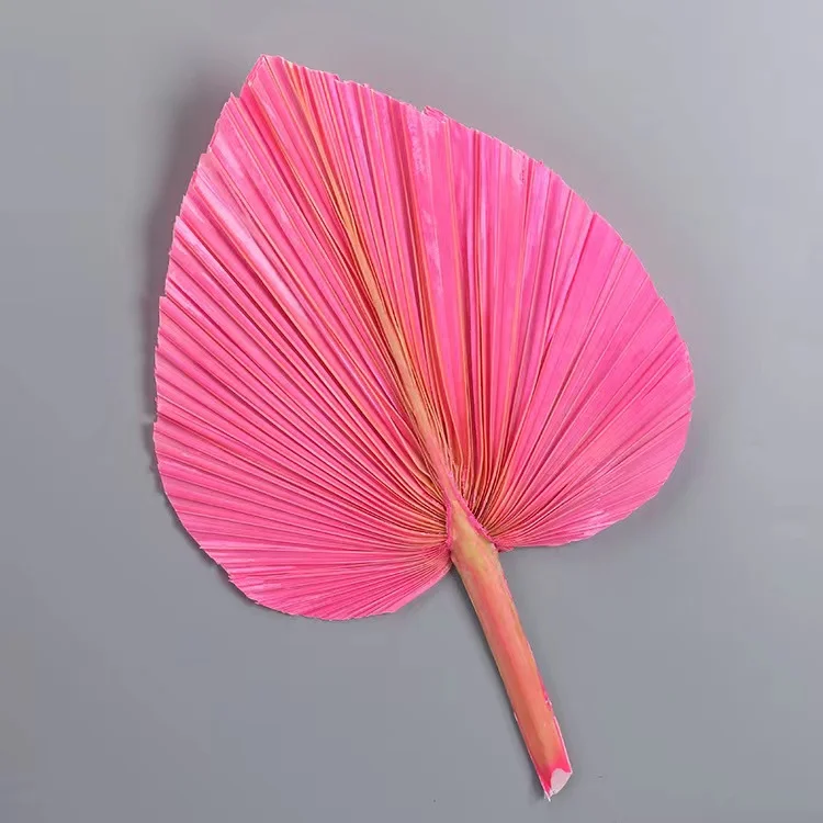 palm leaf fan  (15).jpg