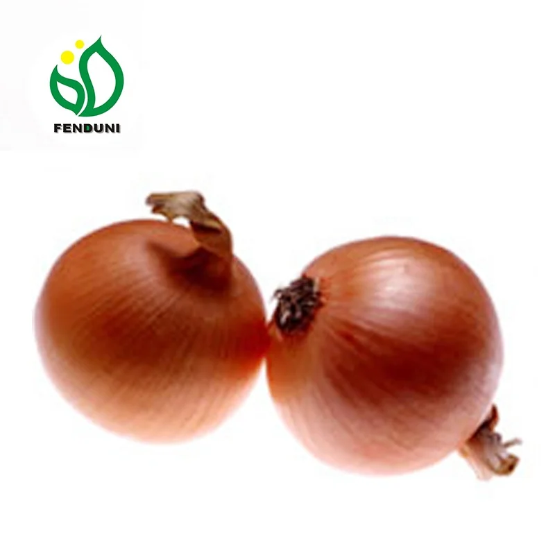 Дешевый урожай лука 2021 по низкой цене