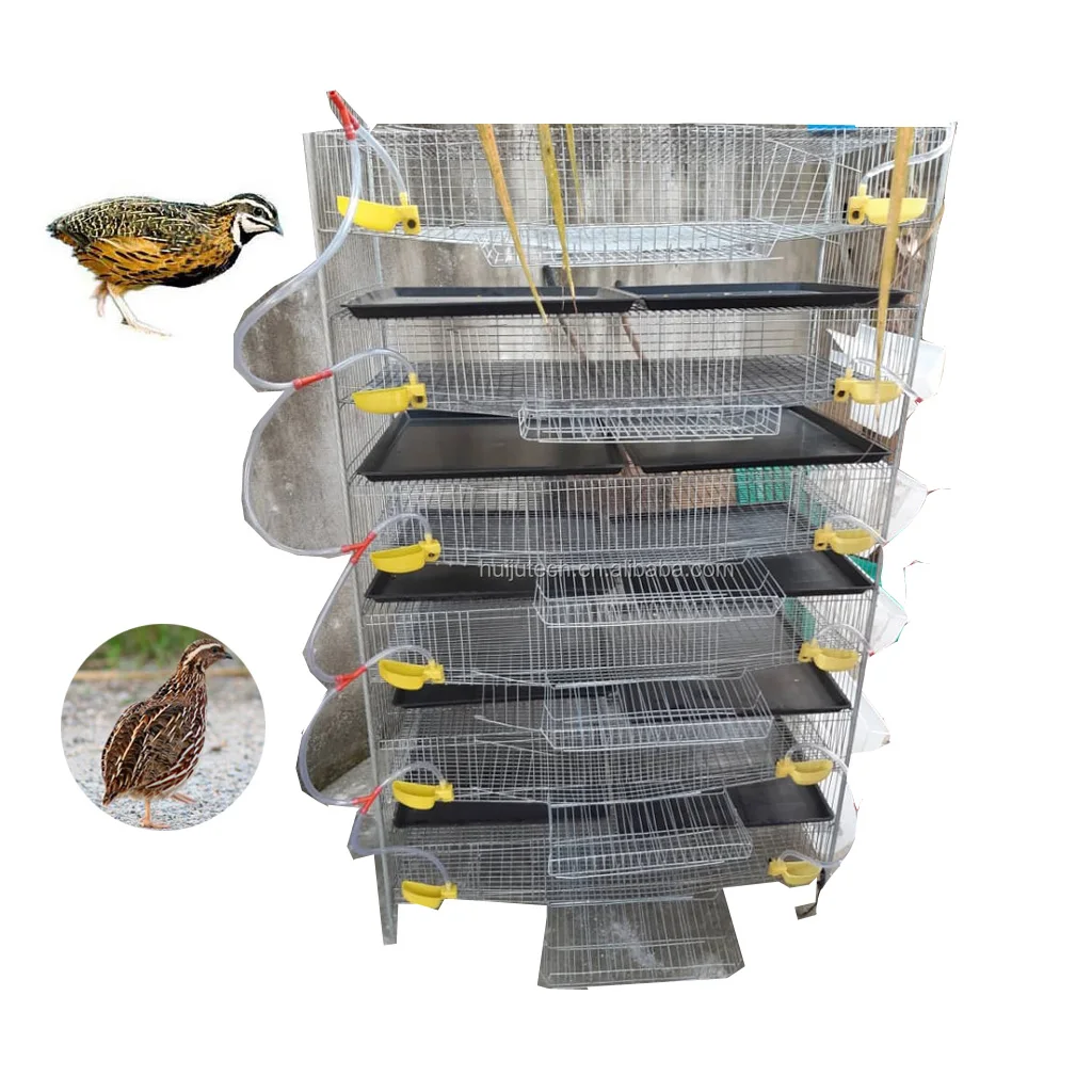 animal & poultry husbandry equipment quail layer cage HJ-QC400A 6 Tiers H type quail cages for egg production