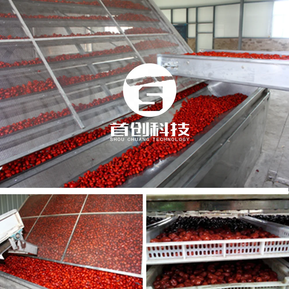 24 tons/24 Hrs automatic bird eye chili hot pepper belt drying machine with energy saving heat pump units