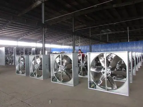 Negative Pressure Cooling Equipment Greenhouse 1000 Cfm 5000 Cfm 50 Inch Exhaust Fan