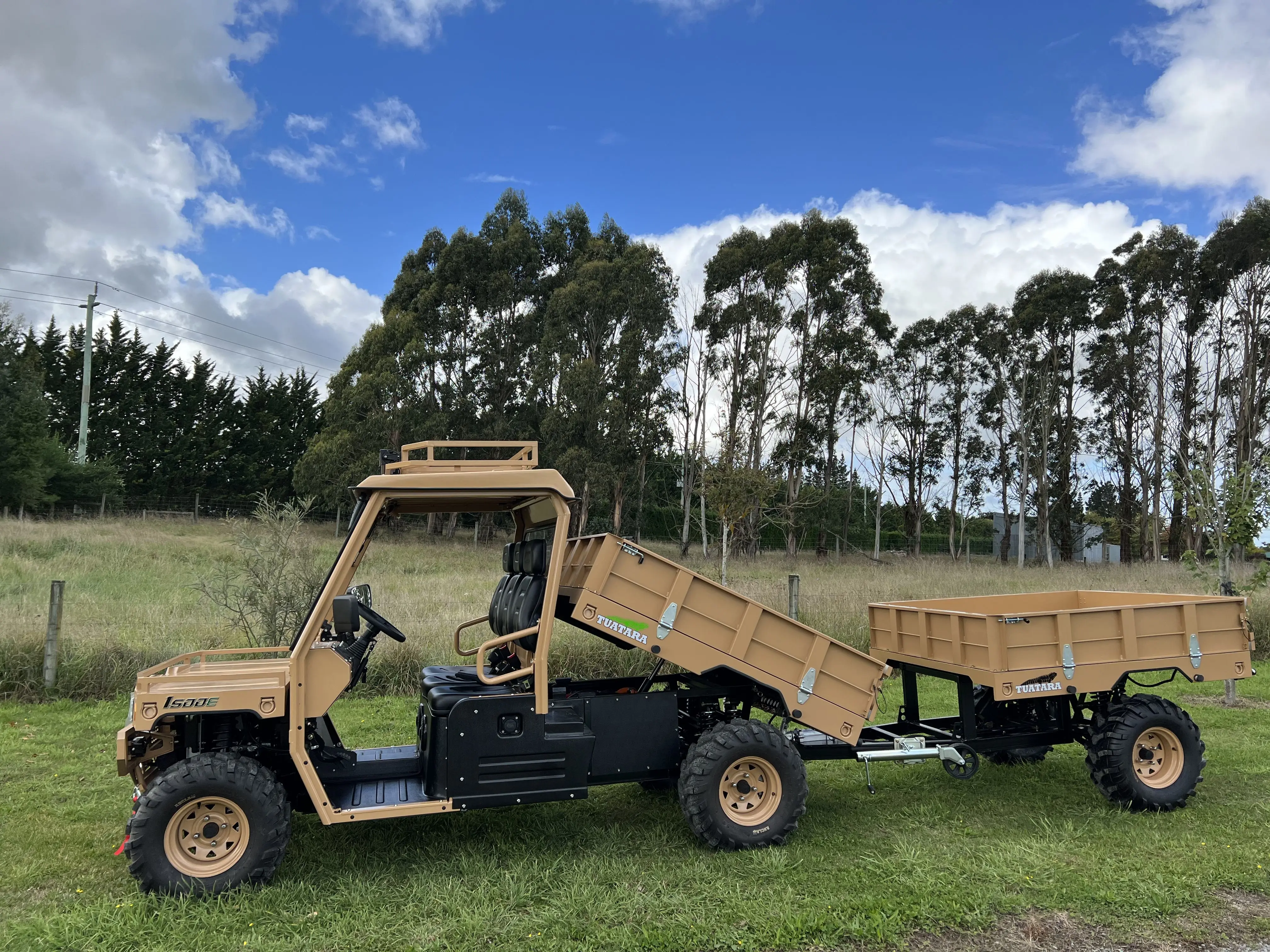 Высокое качество небольшая тележка четырехколесный Atv прицеп с подъемником двойная катушка подвеска инерционное