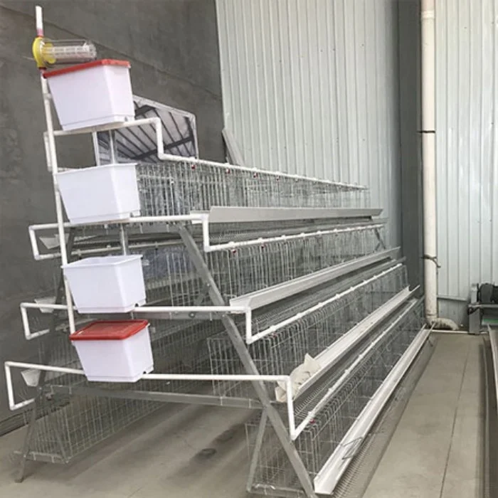 best sales A type 5 cells chicken cage for 160 layers in Uganda