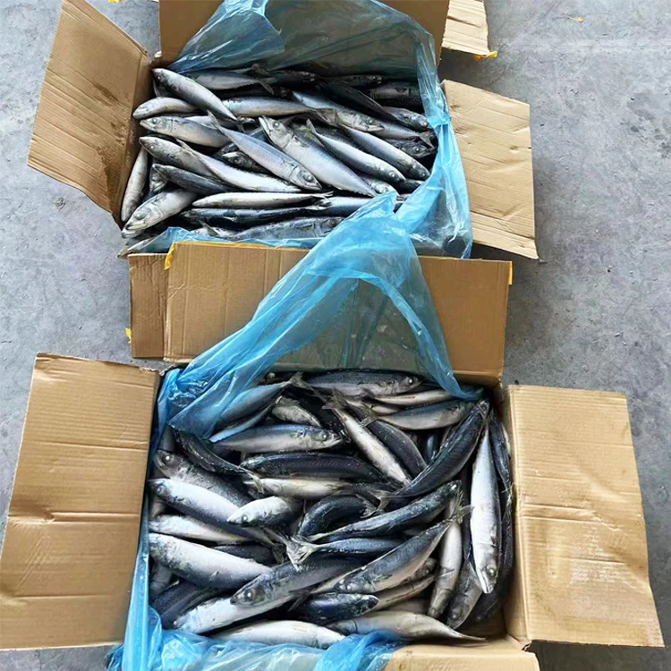 Hot Selling Wholesale Low Price Fresh Seafood Frozen Fish Mackerel Exporters
