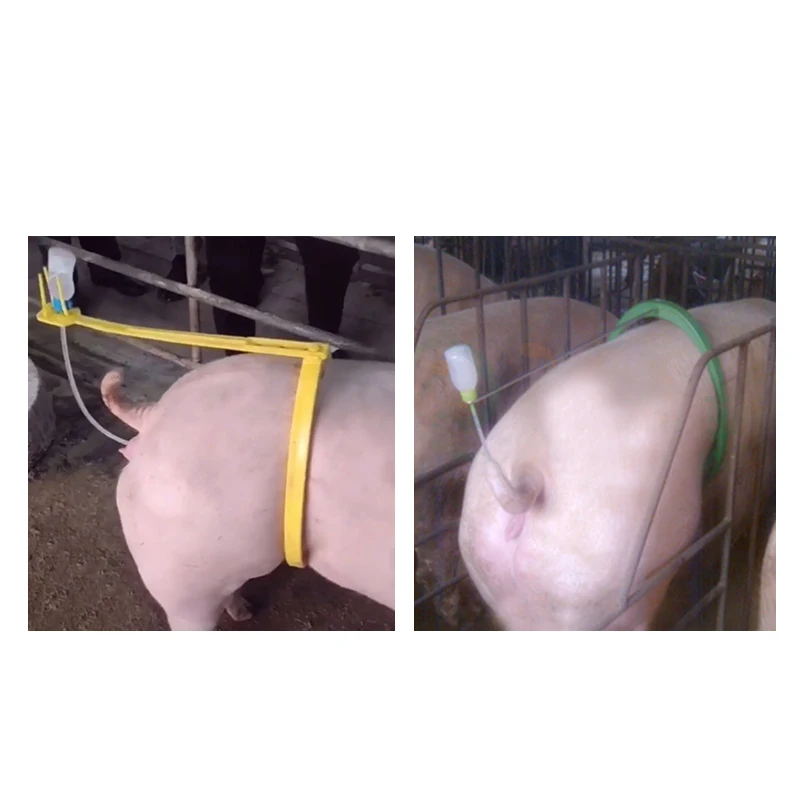 Pig Breeding Equipment with Automatic Sperm Clamp for Sow Breeding Frame
