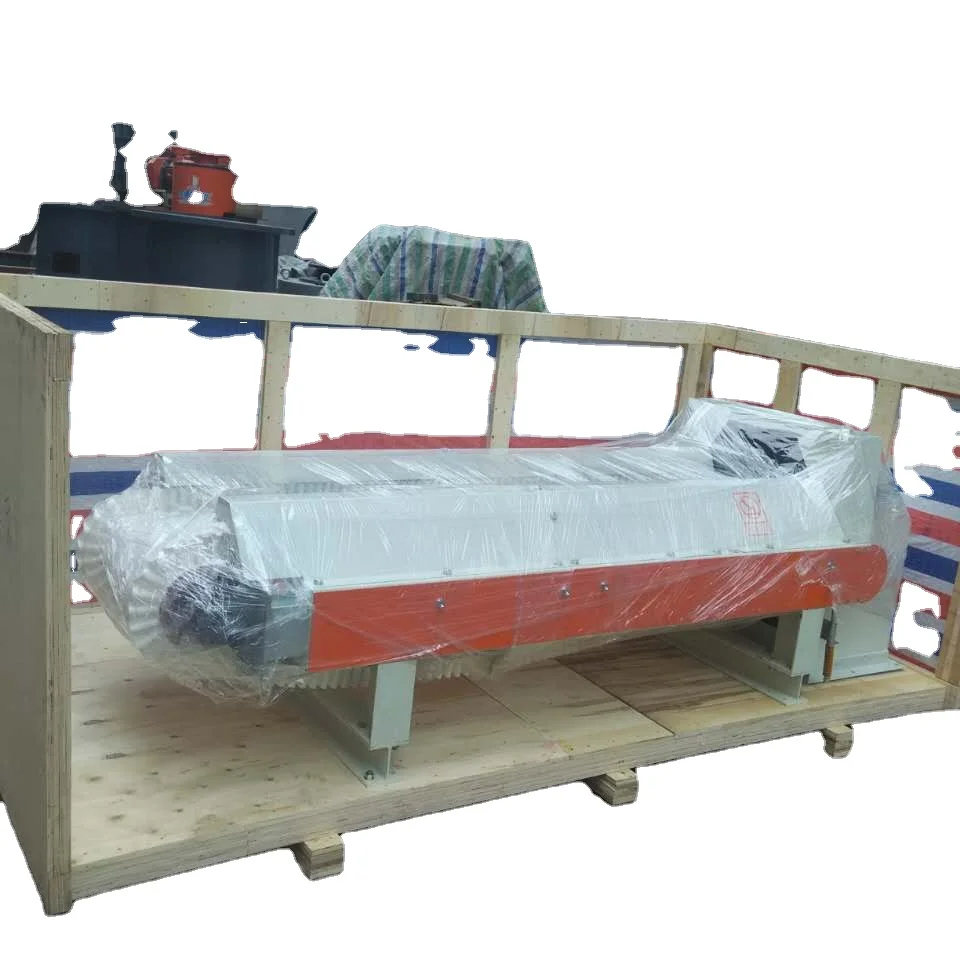 Conveyor belt feeding system