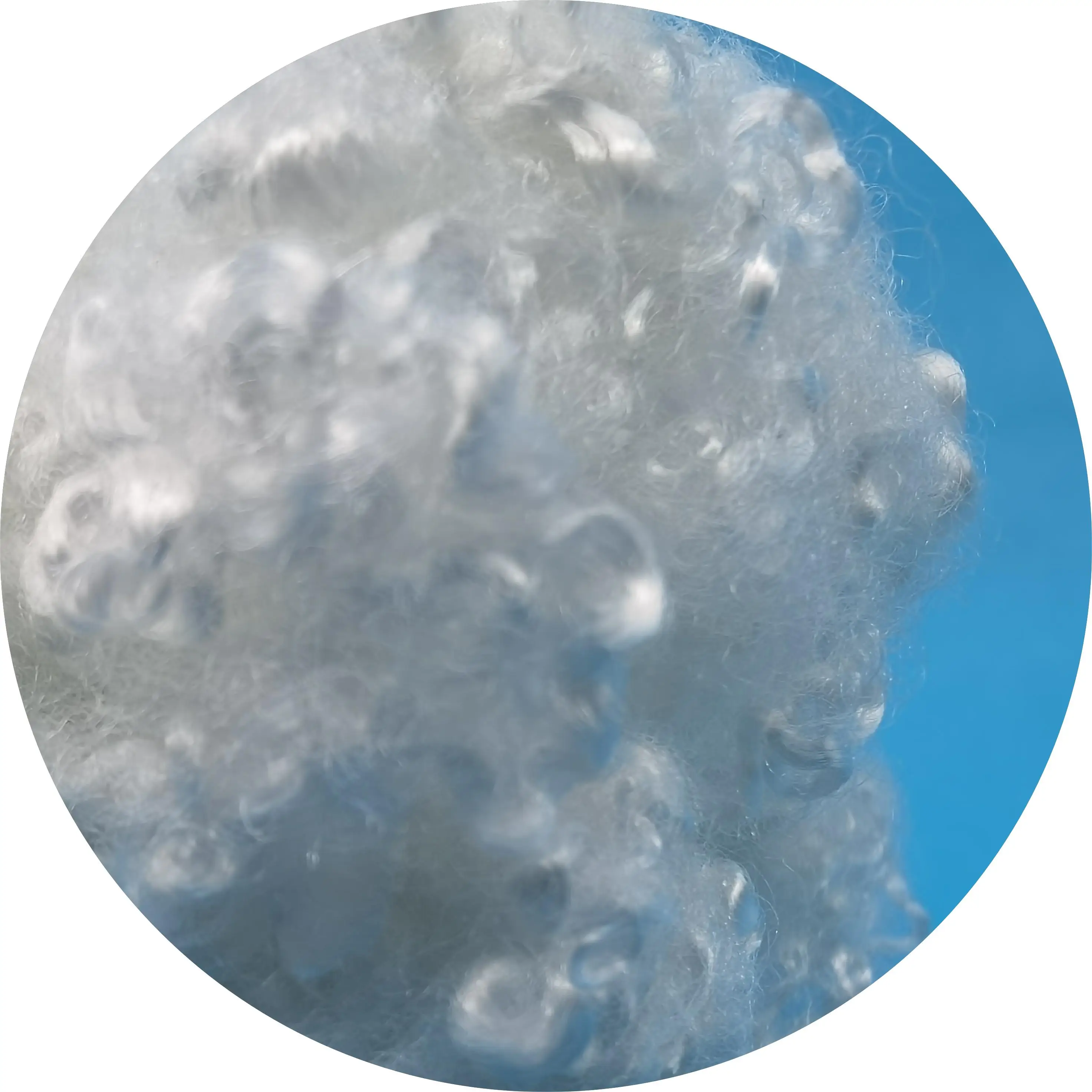 GRS Recycled Hollow Conjugated Polyester Staple Fiber for Filling